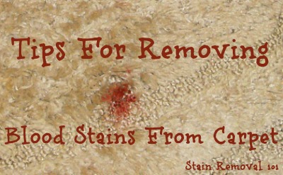 How to remove store blood from carpet