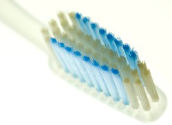 toothbrush