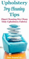 Upholstery Dry Cleaning Tips