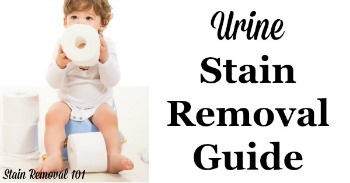Urine stain removal guide