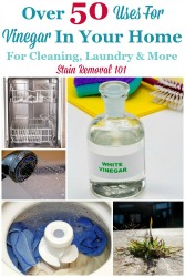 Uses For Vinegar For Your Home