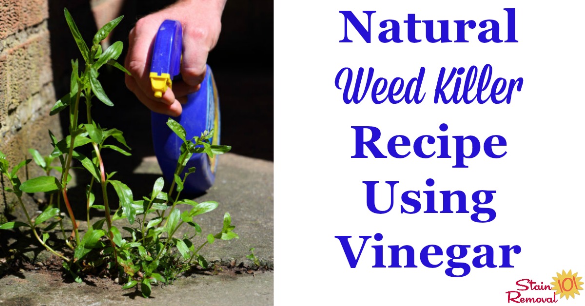 Natural weed killer recipe, using vinegar {on Stain Removal 101}