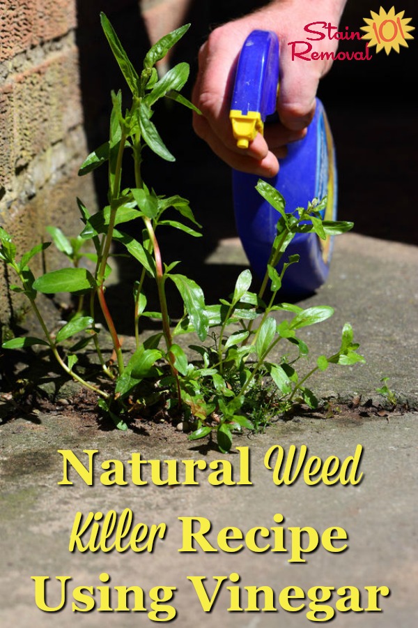 Natural weed killer recipe, using vinegar {on Stain Removal 101} #NaturalWeedKiller #WeedKiller #WeedKillerRecipes
