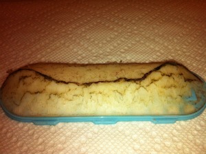 bounce dryer bar with hair and lint covering it bounce dryer bar with hair and lint covering it