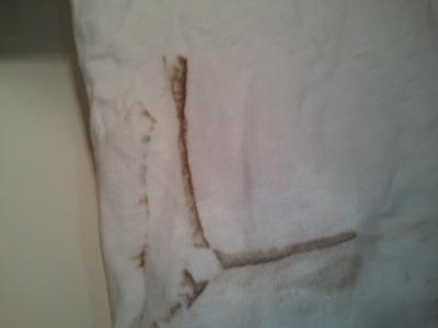 Possible Washing Machine Rust Stains