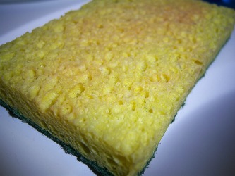 dish sponge smells