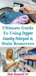 Enzyme Laundry Detergent & Stain Removers Facts & Instructions For Use
