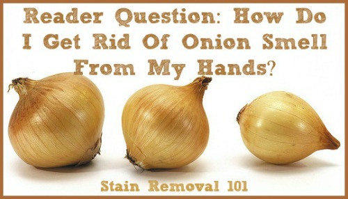 how to get rid of onion smell on hands? how to get rid of onion smell on hands?