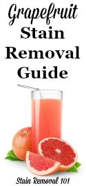 Grapefruit Stain Removal Guide