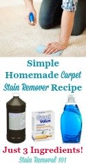 Homemade Carpet Stain Remover Recipe