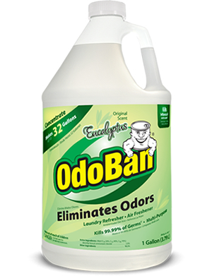 Odoban Odor Eliminator Reviews Uses And Opinions About This Product But Unlike Many Of The Reviewers Above Who Used It For Pet Odors Virginia Mold Mildew Issues