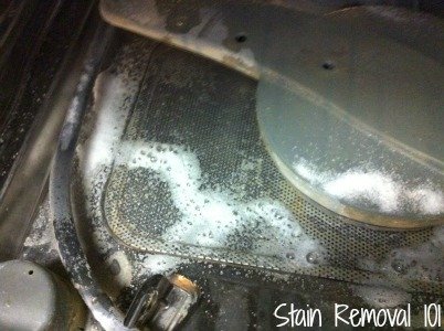 Lemi Shine machine cleaner fizzing in dishwasher