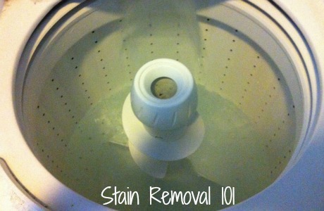 Lemi Shine machine cleaner poured into washing machine Lemi Shine machine cleaner poured into washing machine