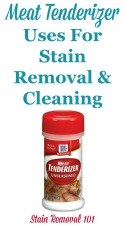 Meat Tenderizer Uses For Stain Removal & Cleaning