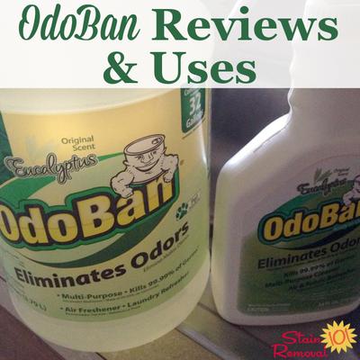 Odoban Odor Eliminator Reviews Uses Odoban Reviews Uses For Lots Of Household Surfaces