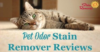 Pet odor stain remover reviews