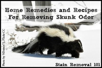 skunk odor removing