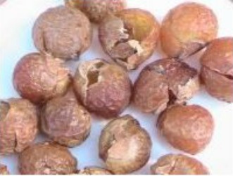 Soap Nuts