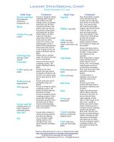 printable laundry stain removal chart