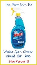 uses for windex