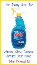 uses for Windex